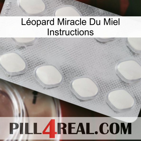 Léopard Miracle Du Miel Instructions 16.jpg